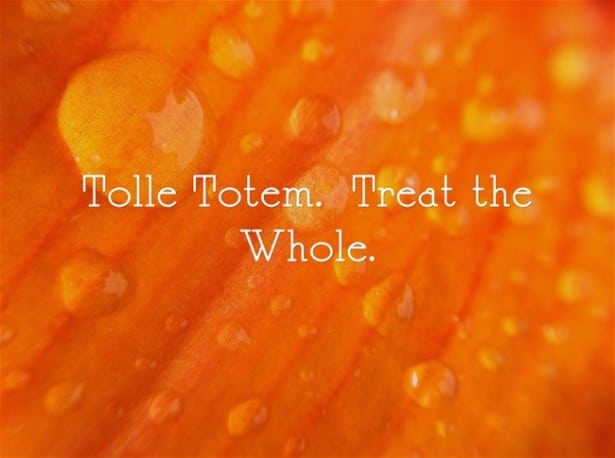 Tolle-Totem-Treat-the